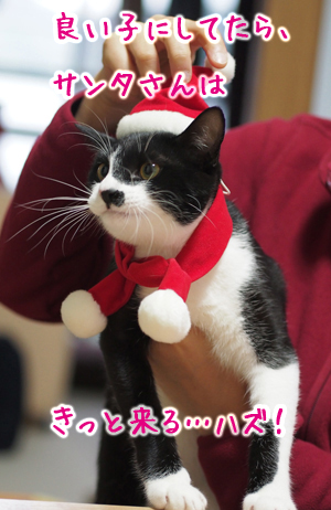 サンタさんは