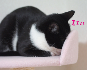 ZZZZ.jpg