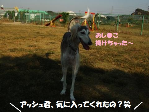 003_convert_20121025232316.jpg