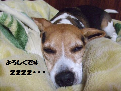 006_convert_20121231025058.jpg