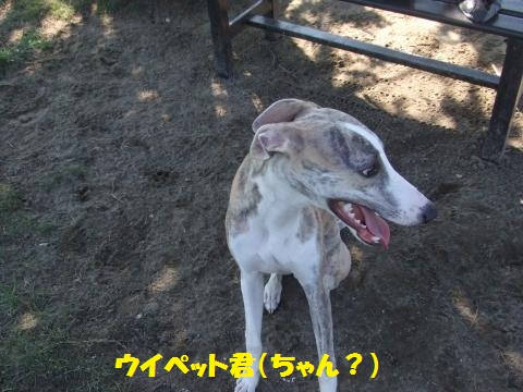 012_convert_20120924010047.jpg