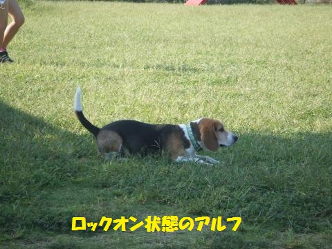 015_convert_20121012005154.jpg