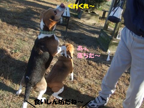 018_convert_20121113001223.jpg