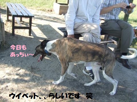 022_convert_20121011234903.jpg