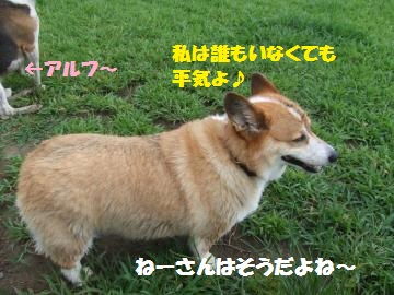 024_convert_20120910215945.jpg