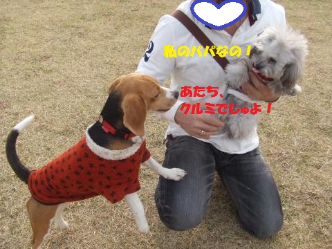 025_convert_20140203012529.jpg
