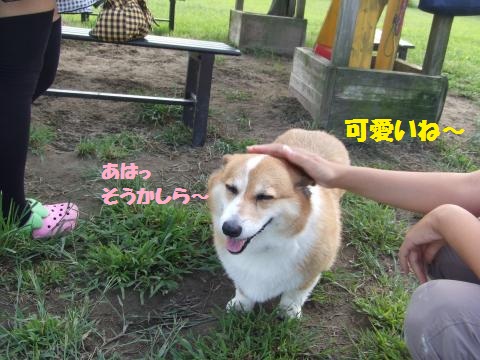 034_convert_20120930191257.jpg