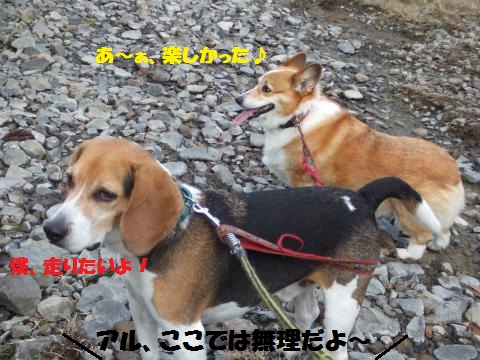 039_convert_20121126040611.jpg