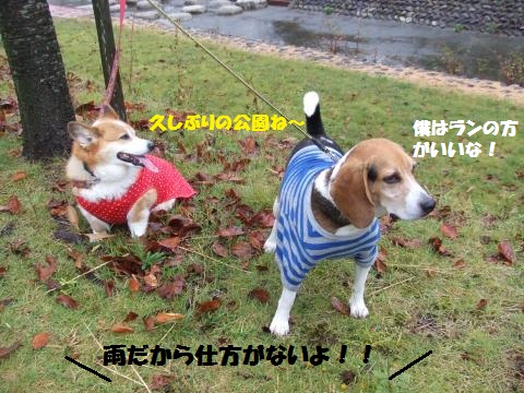 050_convert_20121030014757.jpg