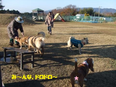 055_convert_20121216235743.jpg