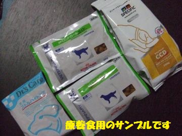 074_convert_20120814022900.jpg