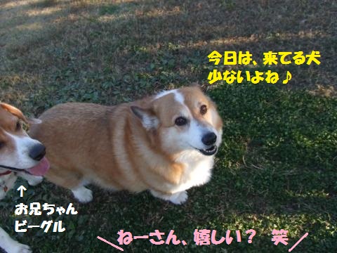 074_convert_20121130044439.jpg