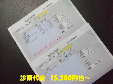 082_convert_20120814023209.jpg