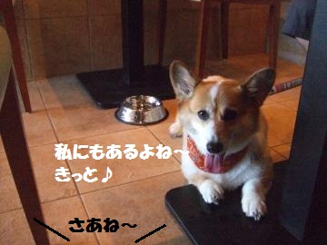 082_convert_20120826215455.jpg