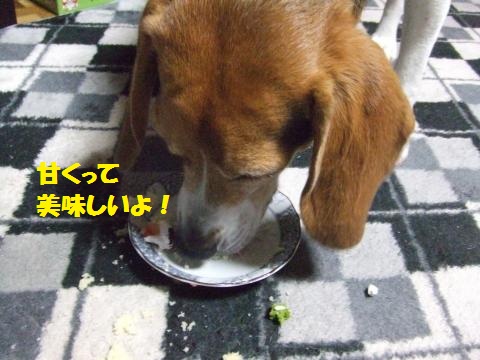 082_convert_20121225002433.jpg