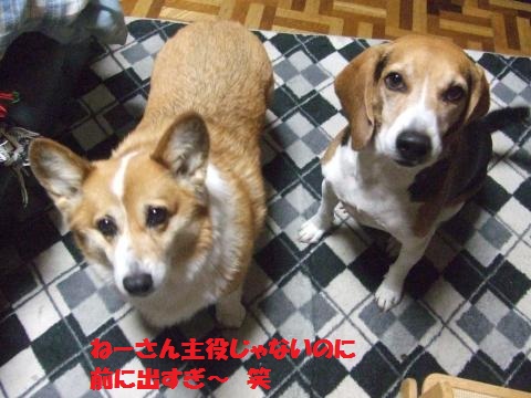 098_convert_20121104231512.jpg