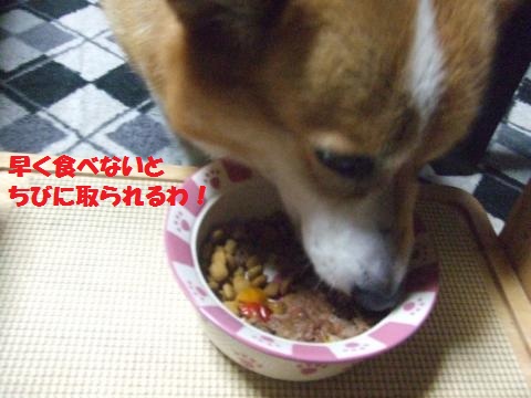 103_convert_20121104231854.jpg