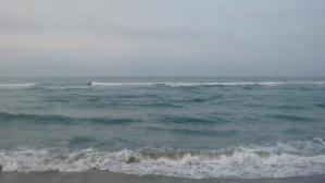 浜
