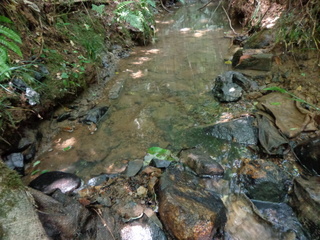 1207100004.jpg