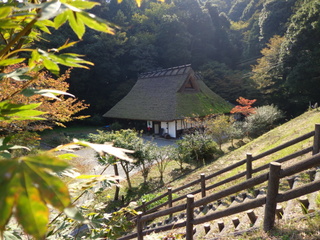 1210210072.jpg