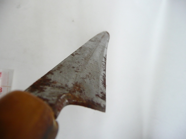 P1080333 (640x480)