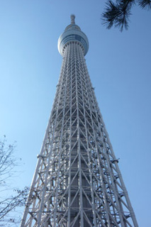 skytree1.jpg
