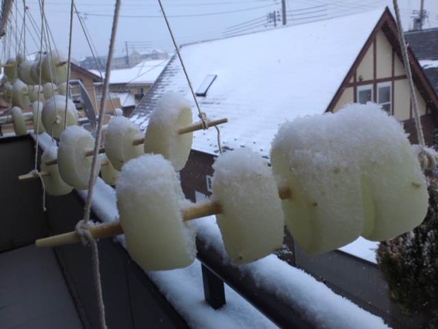 雪をかぶったへそ大根2