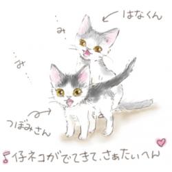 20111006.jpg