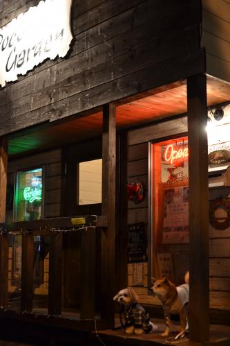 DSC_0296_convert_20121225194520.jpg