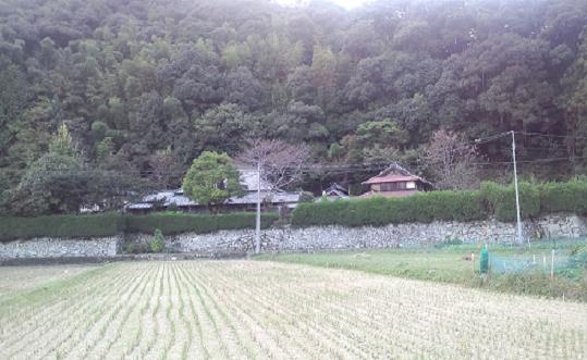 実家4