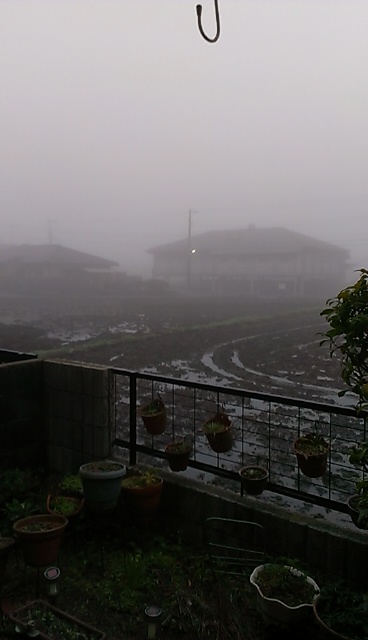 IMAG1494.jpg