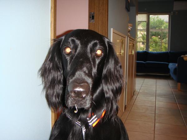 003_convert_20120614100634.jpg