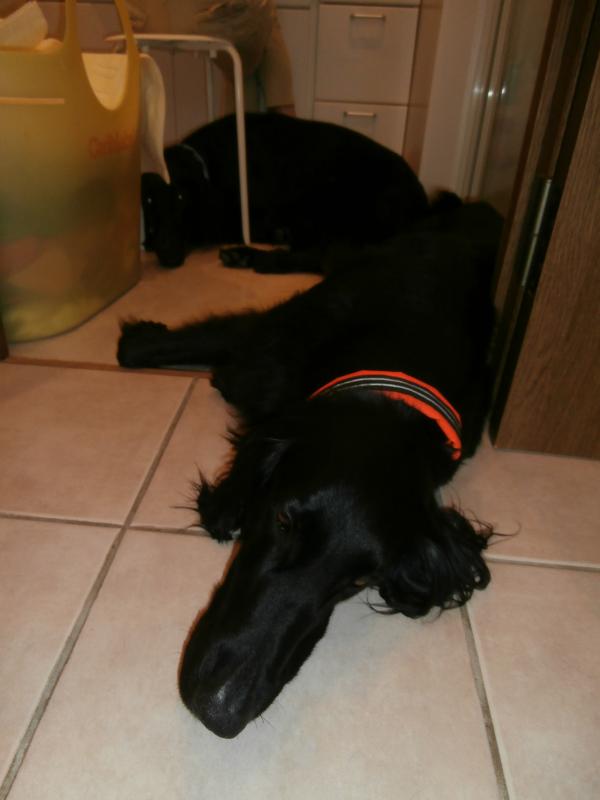 007_convert_20120617180723.jpg