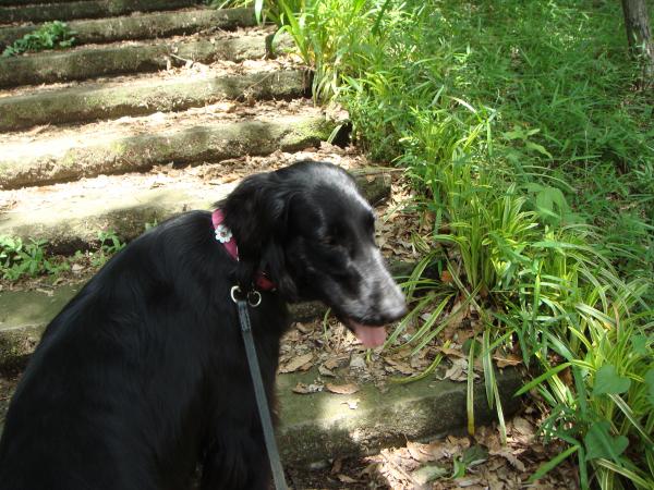 014_convert_20120524121330.jpg