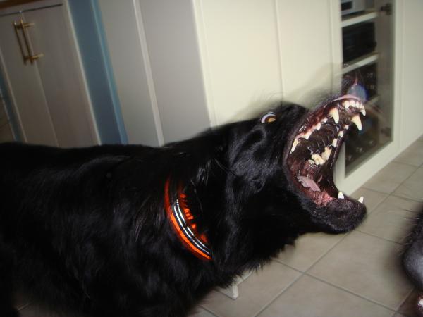 032_convert_20120607172359.jpg
