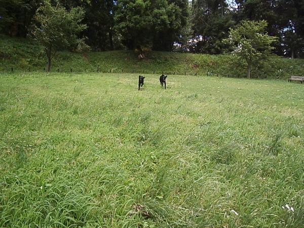 036_convert_20120620125726.jpg