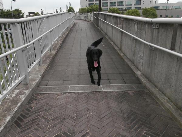 068_convert_20120621110924.jpg
