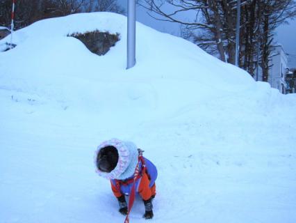iya2_20121220230316.jpg