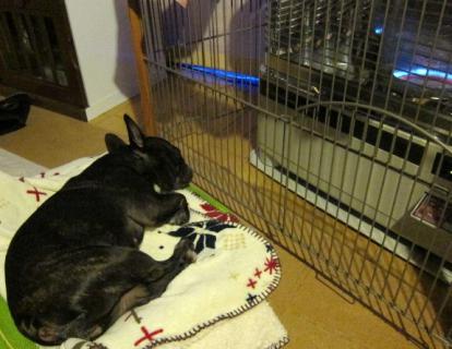 iya5_20121220230315.jpg