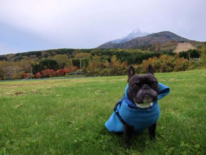 koyo4_20121027100036.jpg