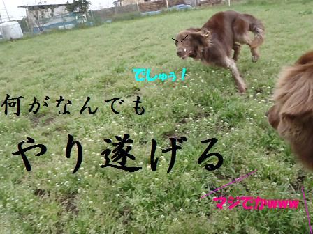 25APR12 013mustdoit
