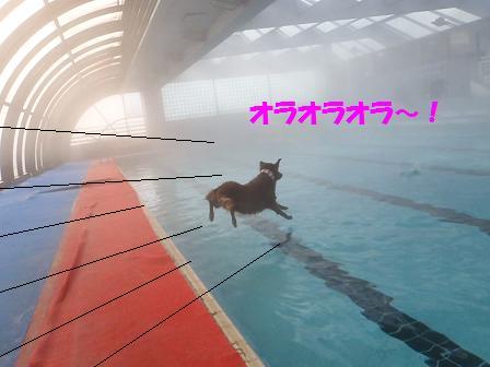 Bコピー ~ Bwalk10FEB12 233