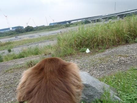 C11JUN12 073friends