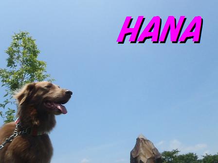 aHANA04JULY12 086