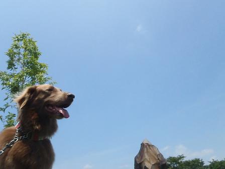 A04JULY12 086smile