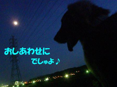 B27JULY12a 068TT