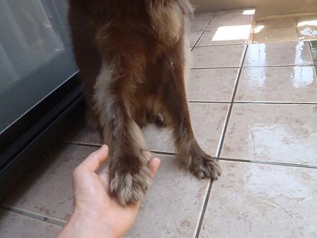 E10JULY12 024love