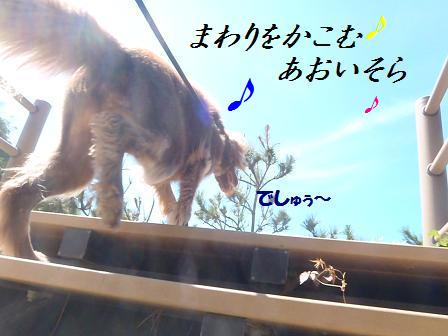 DC0911SEP12 IZU 203song