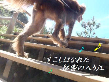 B0911SEP12 IZU 202song