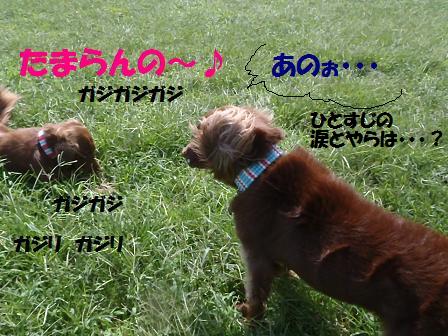 BB27SEP12 090stcmdf